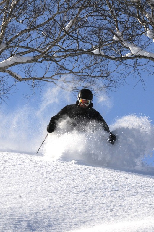 Dean Williams, Niseko Weiss