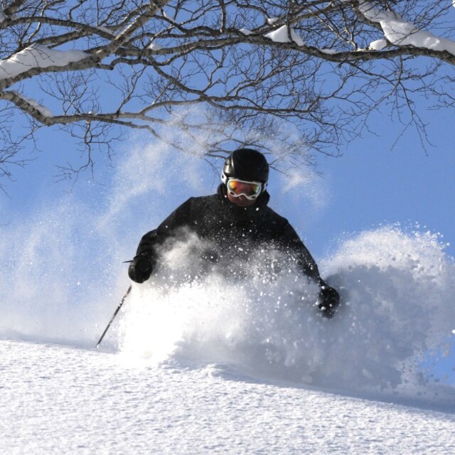 Dean Williams, Niseko Weiss