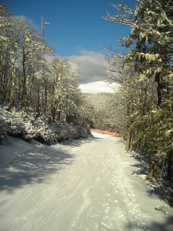 caminito verde, Antillanca