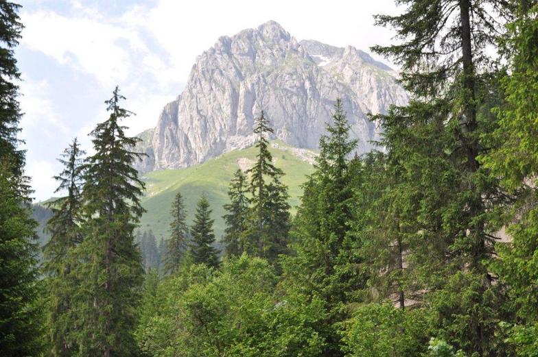 Mountains in summer, La Chapelle d'Abondance