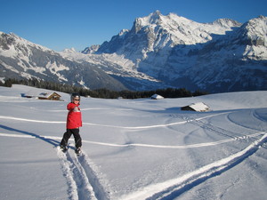 Wengen Skiing with fun photo