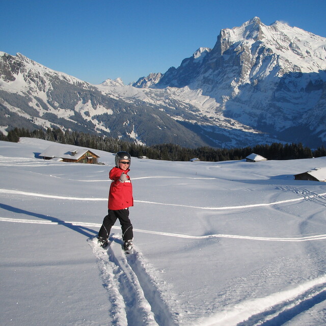 Wengen Skiing with fun