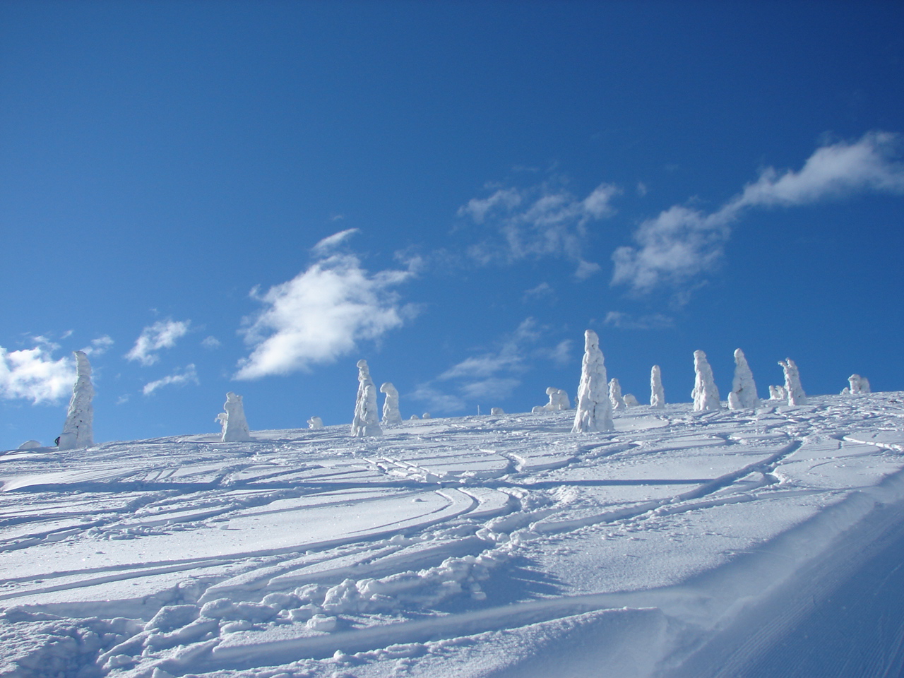 Freeride, Martinky