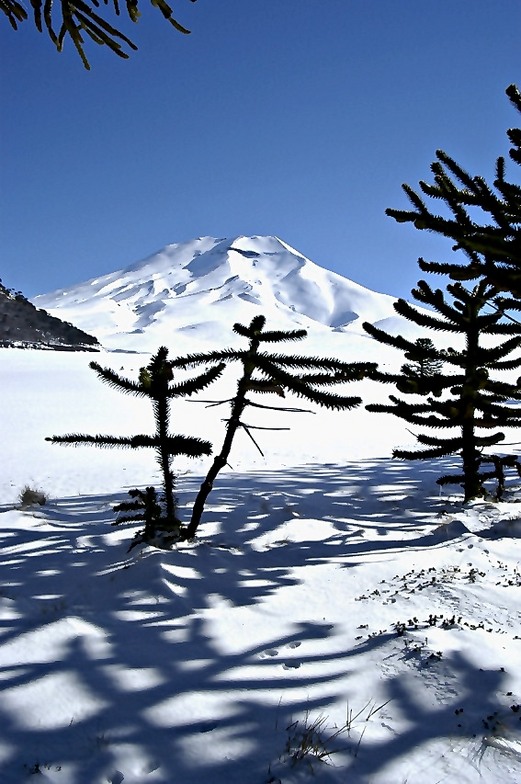 Volcan, Corralco