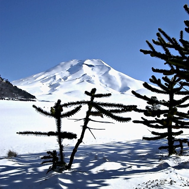 Volcan, Corralco