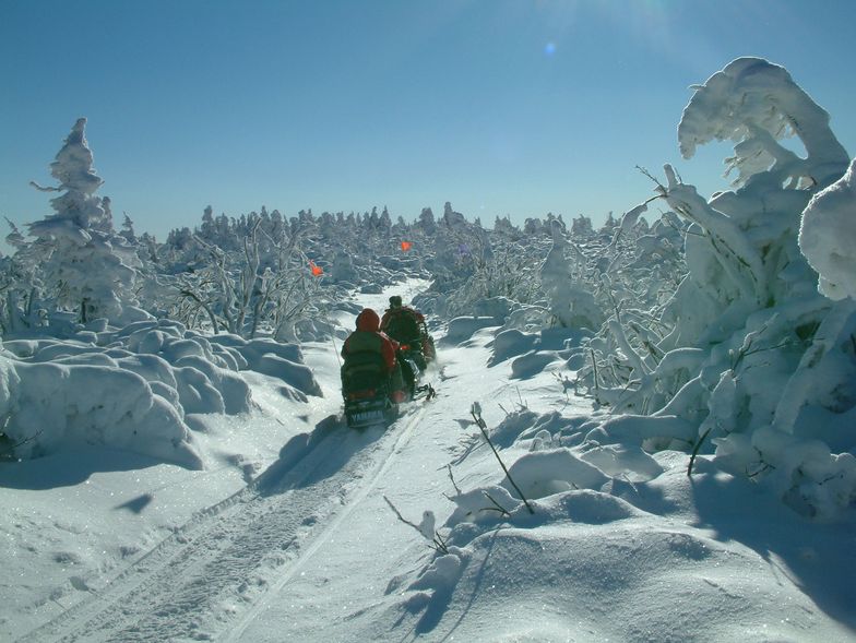 Snowmobiles, Martinky