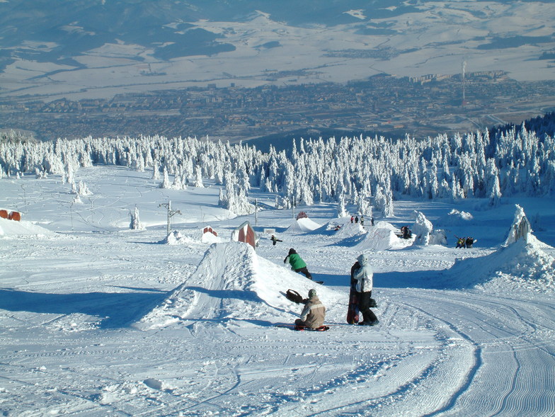 Snowboard park, Martinky