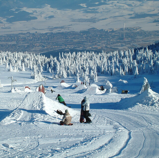 Snowboard park, Martinky