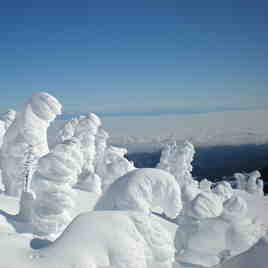 snow goblins, Mount Washington