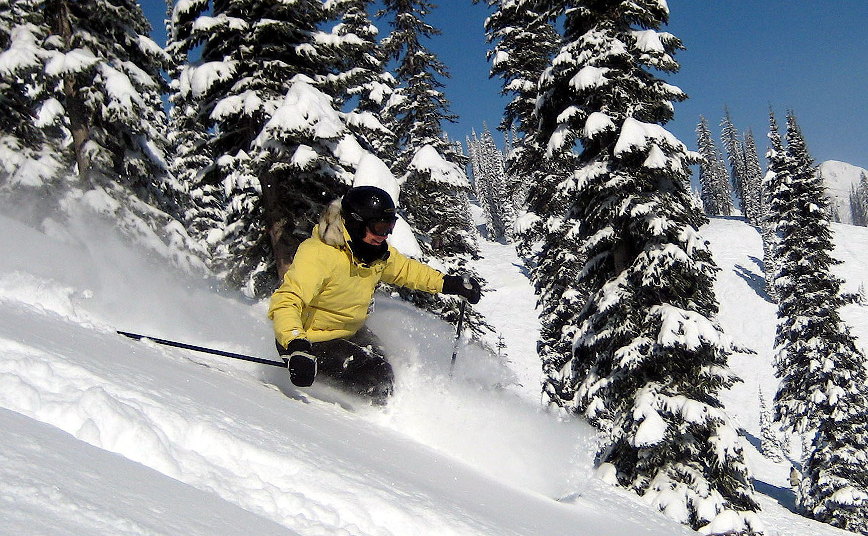 Barb Watts, Fernie