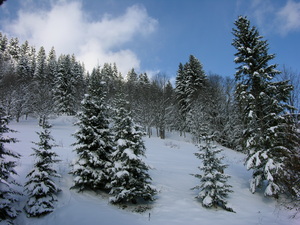 Les Gets, Mont Chery photo