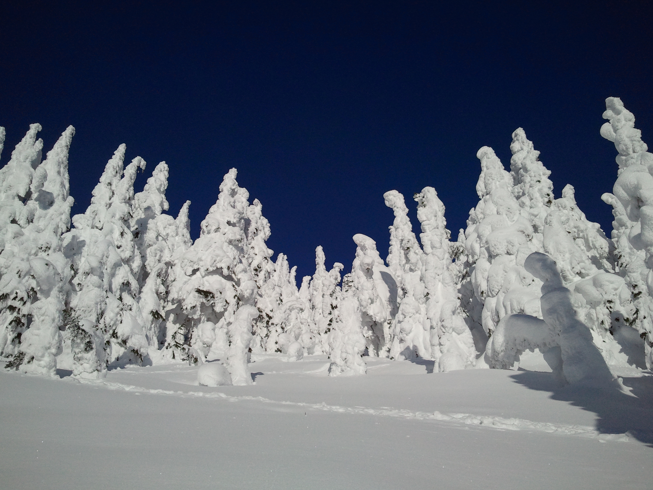 Salivate over this pow..., Stevens Pass
