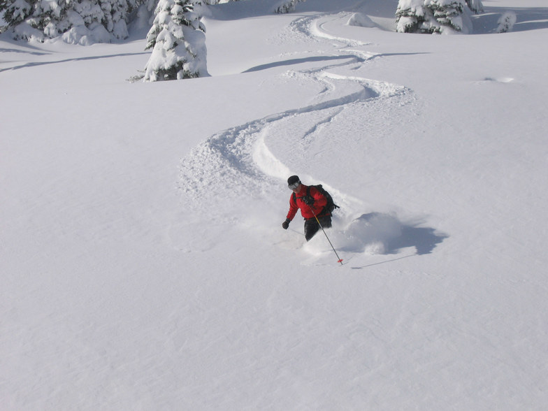 Sidecountry, Mt Hood Meadows