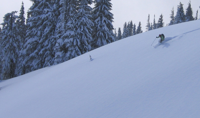 Early Season