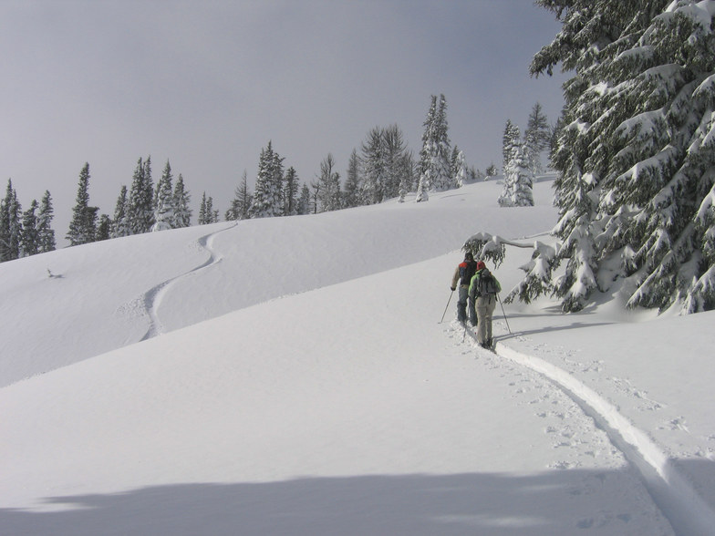 Mt Hood Meadows snow