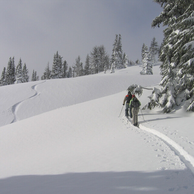 Sidecountry, Mt Hood Meadows