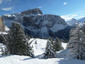 Sass Pordoi from the Sella Pass, Canazei photo