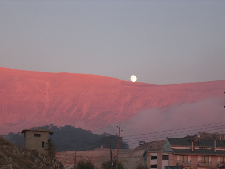 moon cedars