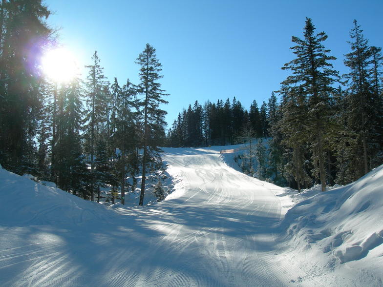 The side of the Gschwandtkopf, Seefeld