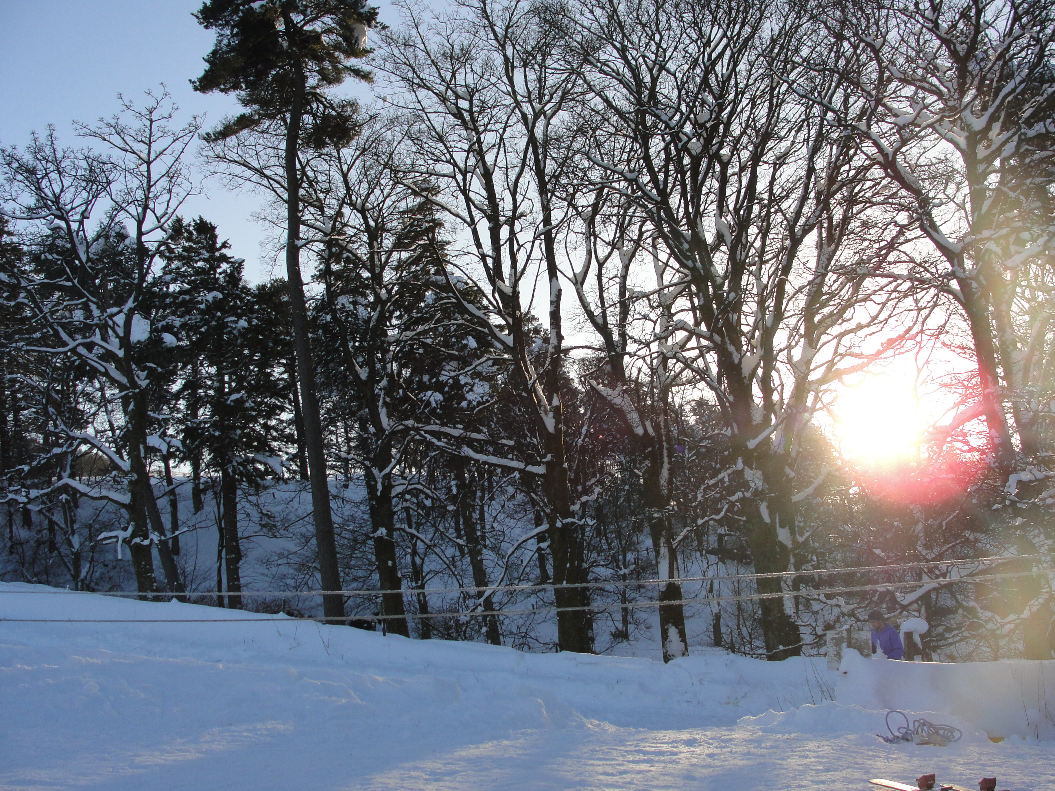 A beautiful day at Allenheads