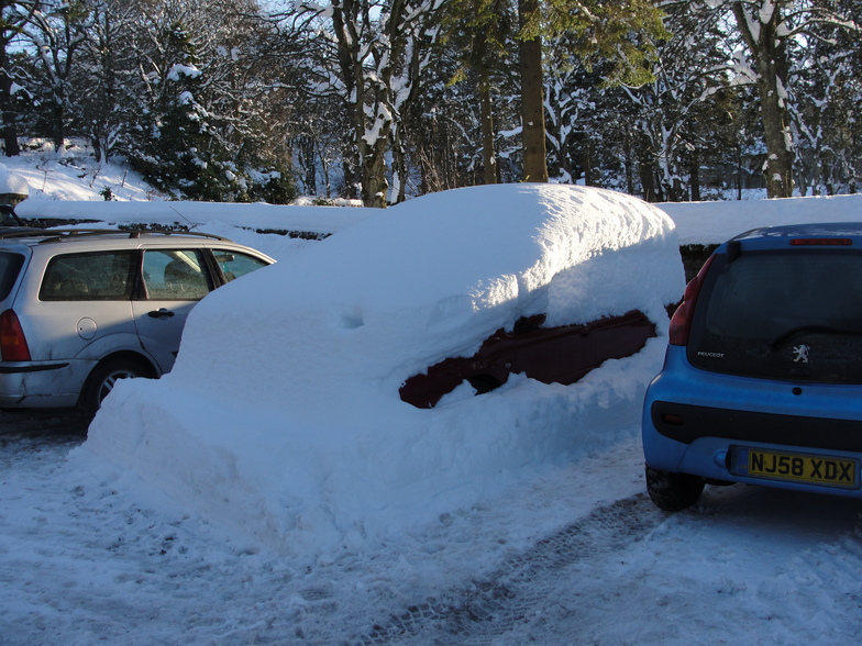 Dude where's my car??, Allenheads