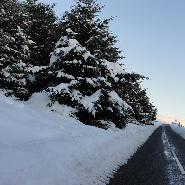 Drive home from Allenheads