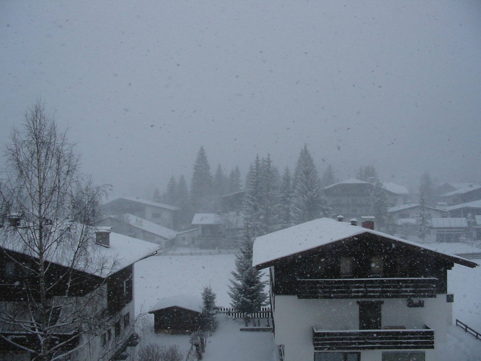 Snowfall, Seefeld