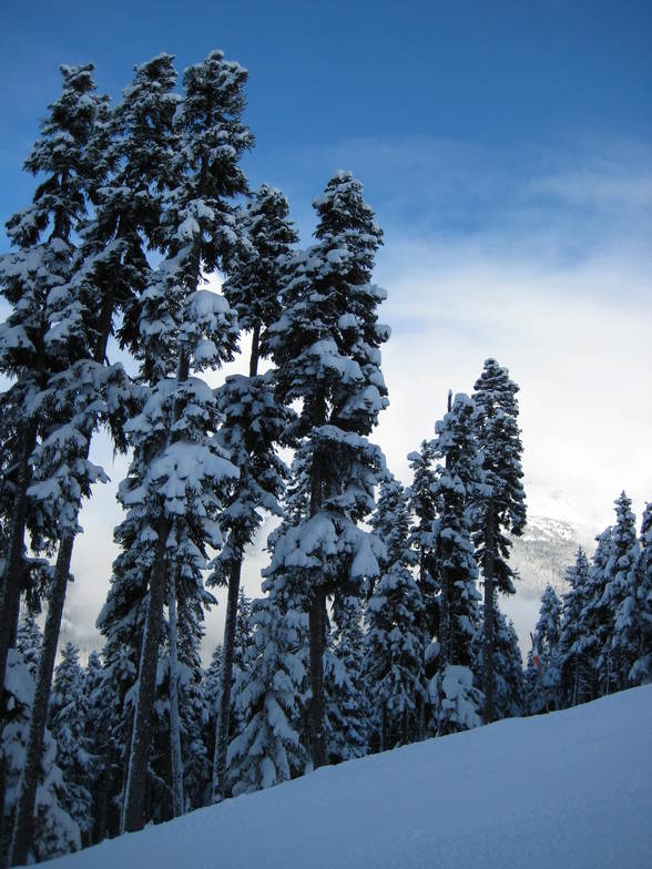 Rare blue skies in Whistler, Whistler Blackcomb