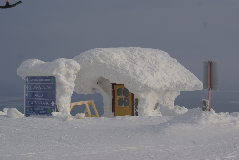 Safehouse, Levi