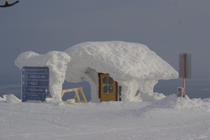 Safehouse, Levi photo