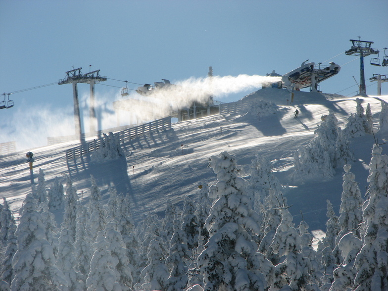 Pancicev vrh, Kopaonik