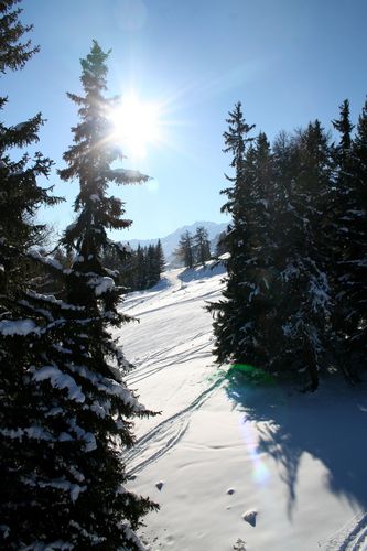 Thyon-Printze Ski Resort by: calvahead