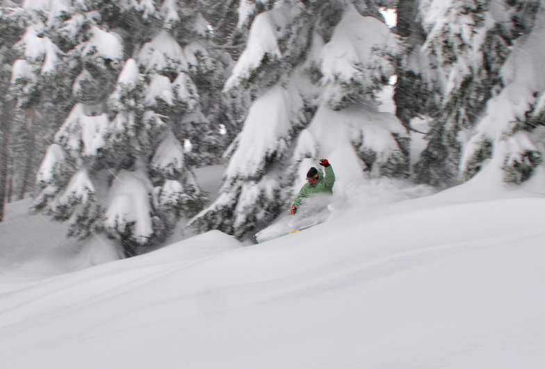 Private Reserve Mt.Hood Meadows, Mt Hood Meadows