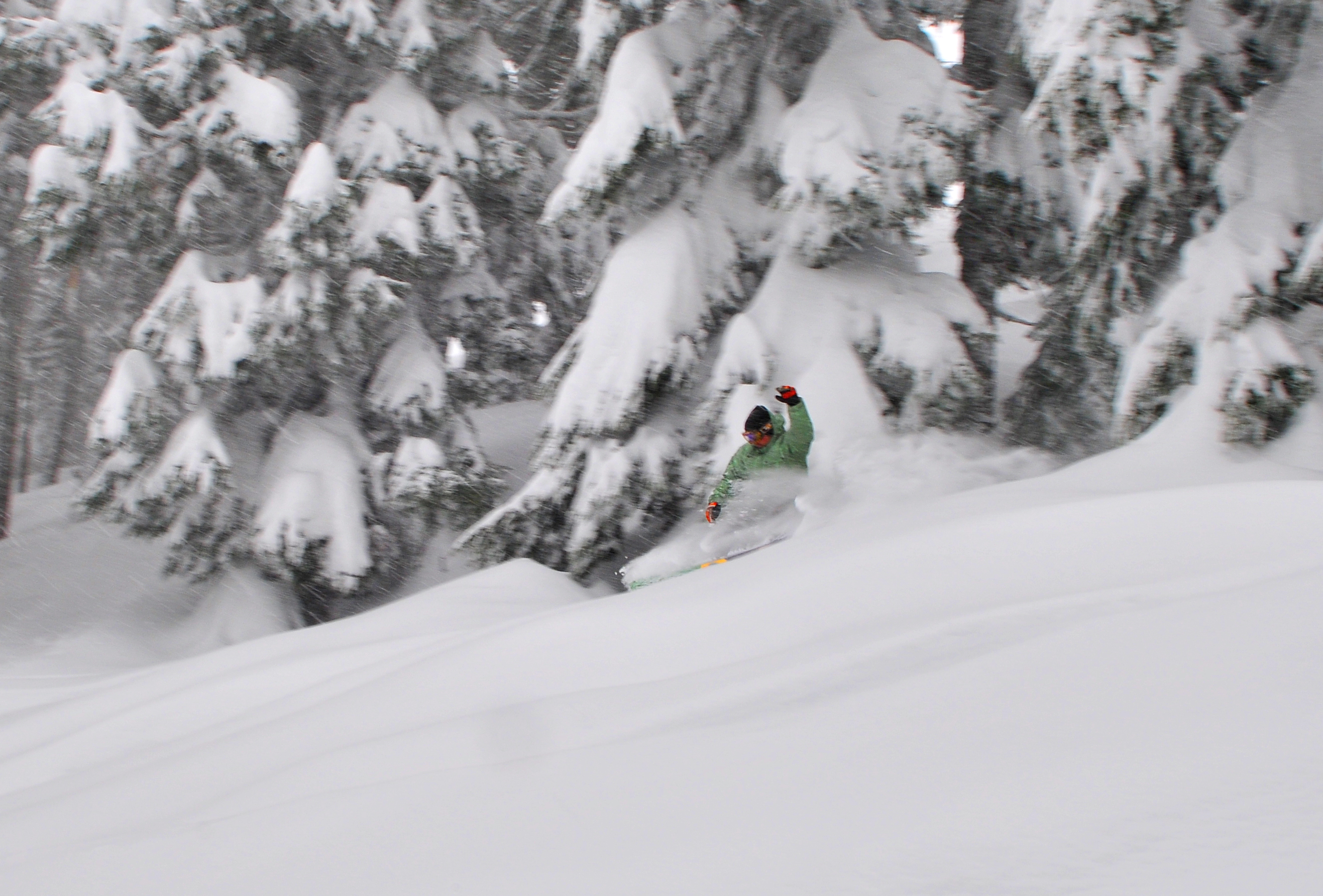 Private Reserve Mt.Hood Meadows, Mt Hood Meadows