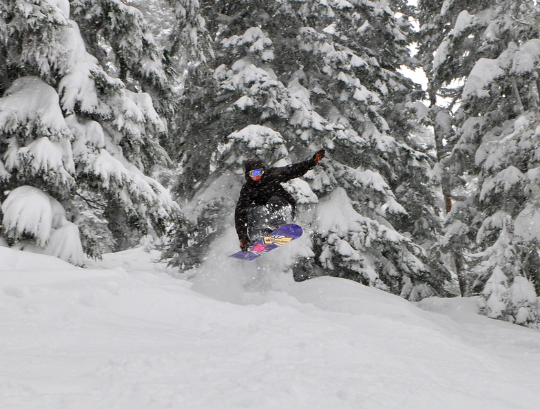 Private Reserve Mt.Hood Meadows, Mt Hood Meadows