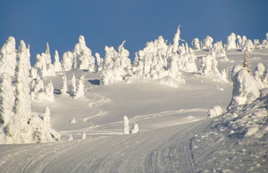 Snowghosts by Doug, Big White photo