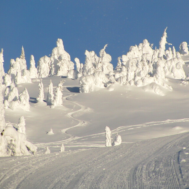 Snowghosts by Doug, Big White