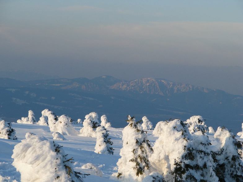 The summit of Harghita (1800m), Harghita Mădăraş