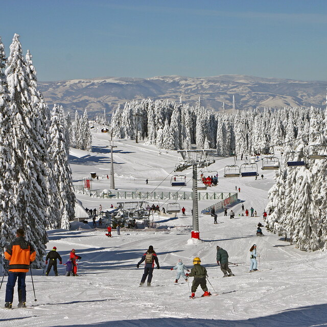 Ski resort Kopaonik