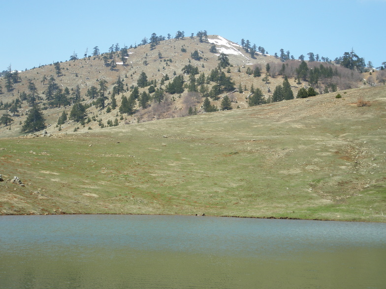 vasilitsa