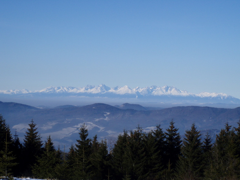 Panorama, Kojšovsků hoľu/Skipark Erika