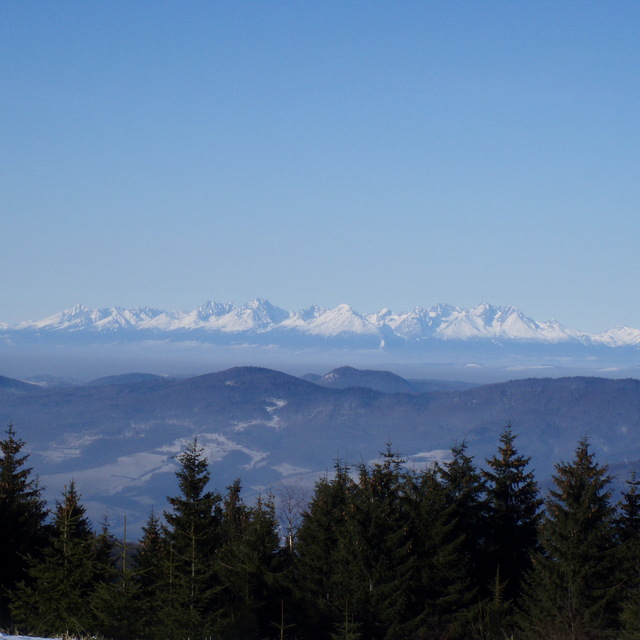 Panorama, Kojšovsků hoľu/Skipark Erika