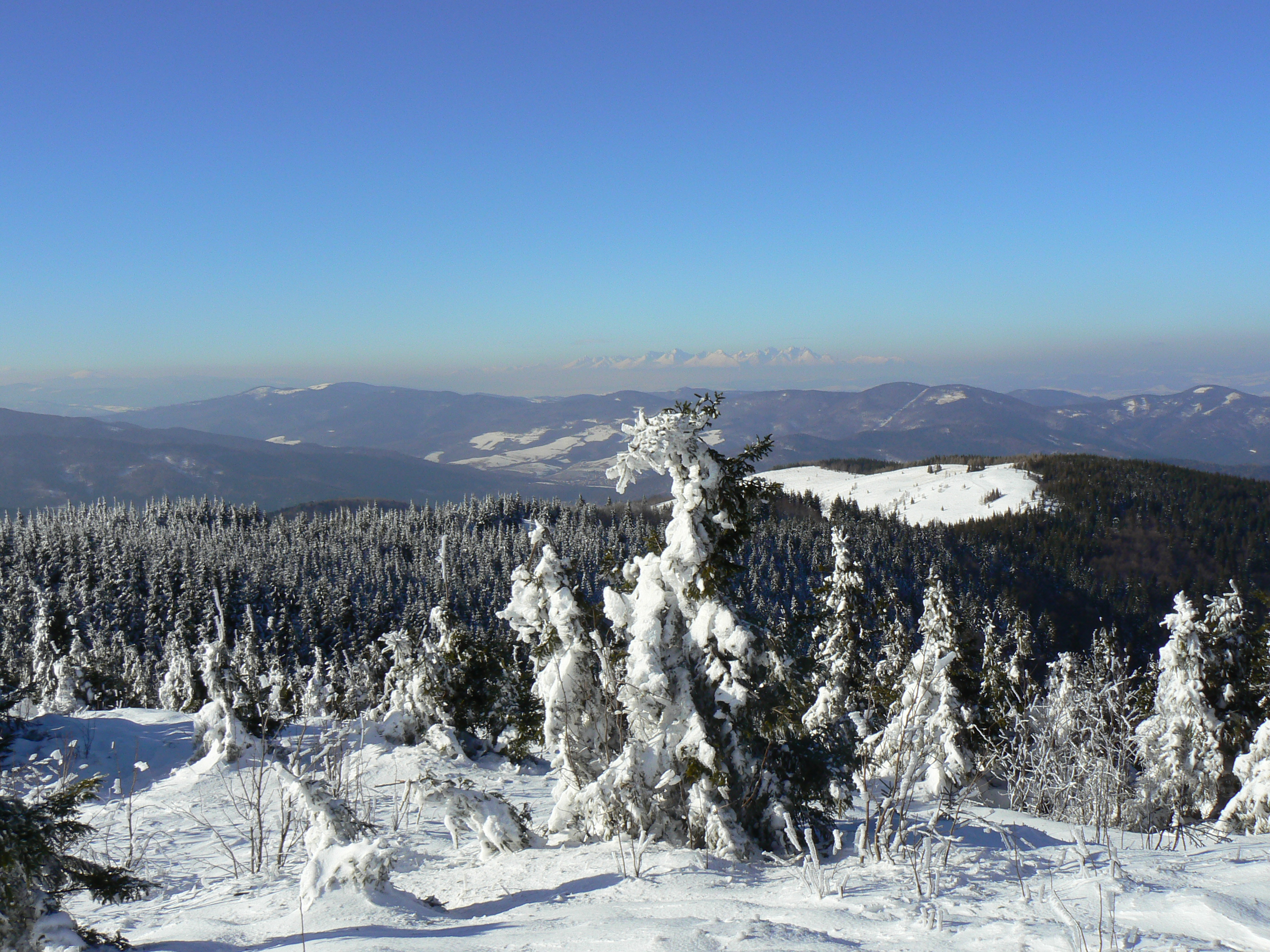 Nature, Kojšovsků hoľu/Skipark Erika