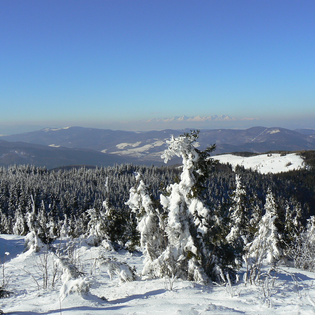 Nature, Kojšovsků hoľu/Skipark Erika