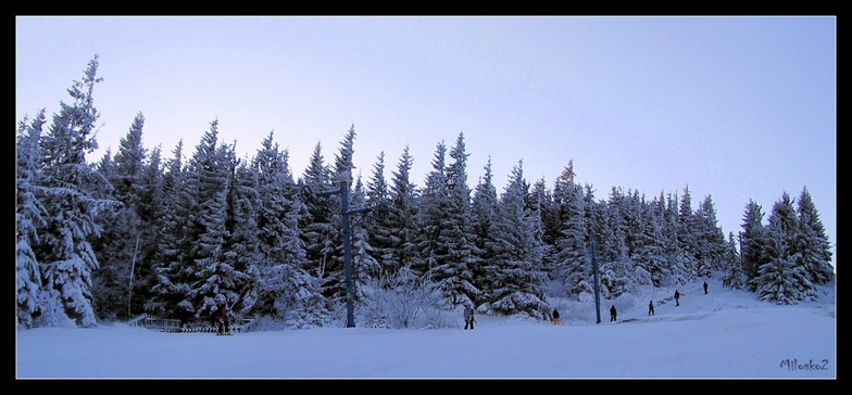 Skilift, Kojšovsků hoľu/Skipark Erika