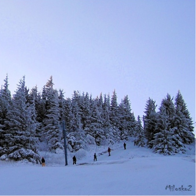 Skilift, Kojšovsků hoľu/Skipark Erika