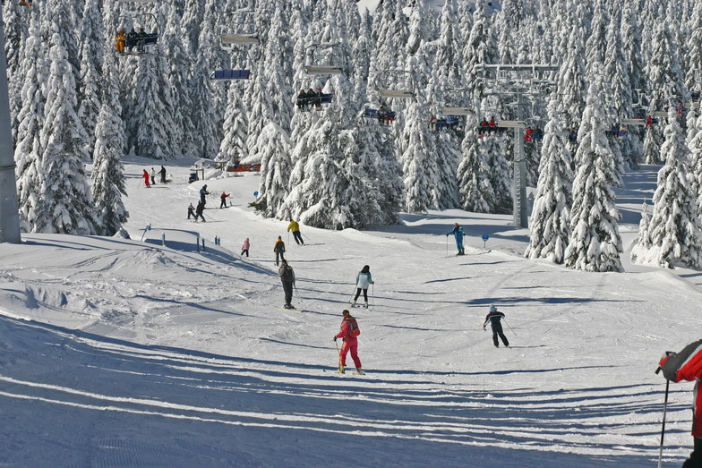 Ski resort Kopaonik