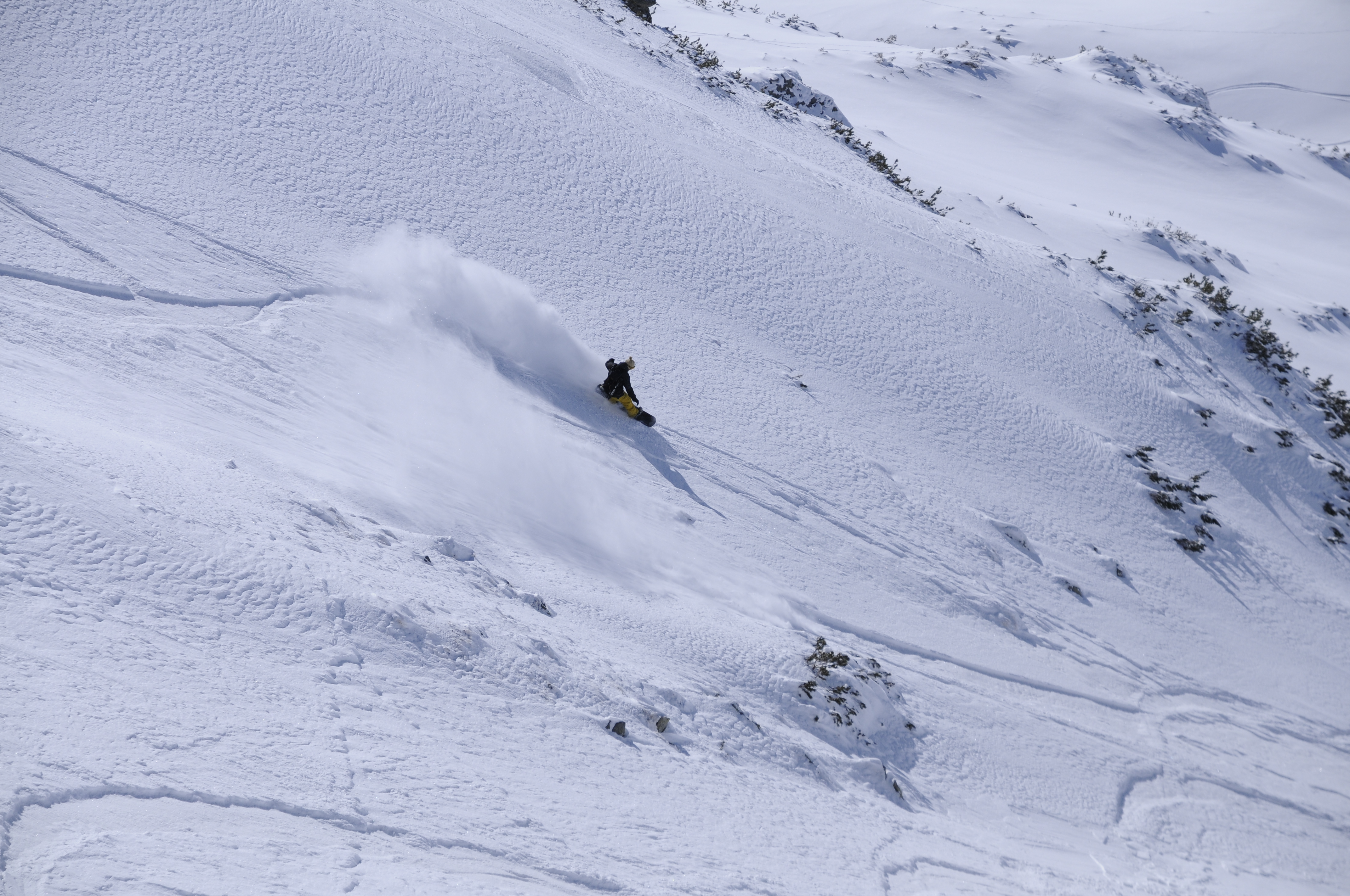 freeride 2010, Bansko