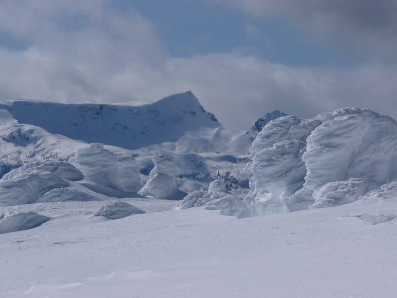 Mt. Albert Edward, Mount Washington