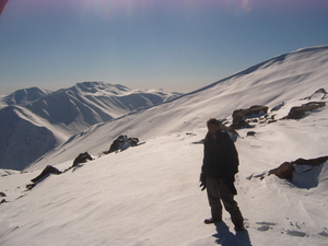 Sam, Gulmarg photo